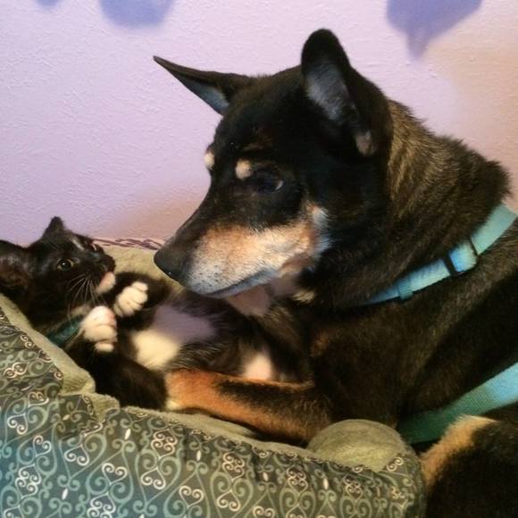 Meet your Posher, Leanne - Picture 1 of 1